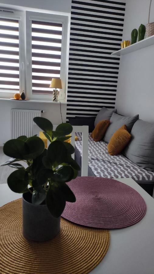 Apartament 60 Plock Bagian luar foto